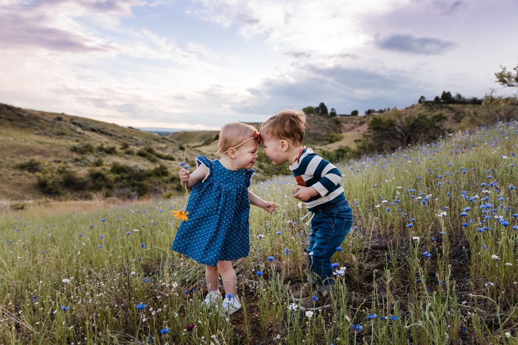 Toddlers touching foreheads in field of blue wildflowers, best places for spring and summer family photos