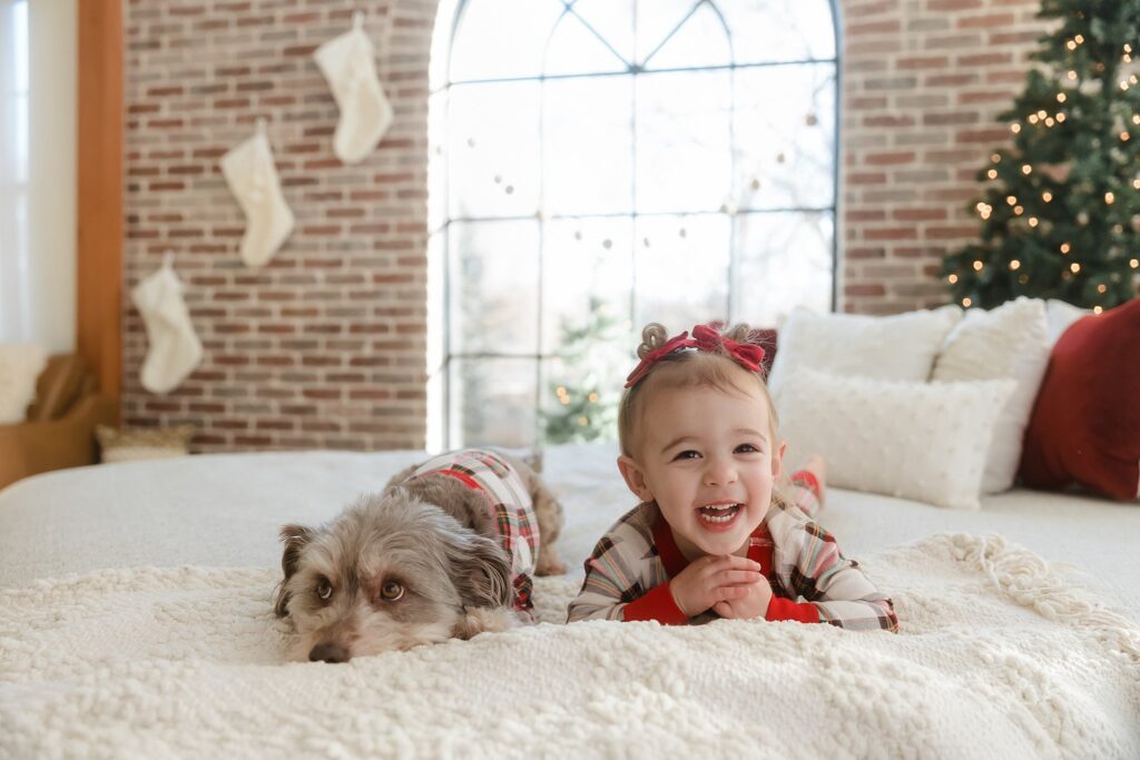 Toddler and family dog playing together, showcasing pet-inclusive holiday portraits