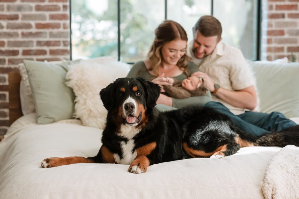 Family portrait with newborn and dog, illustrating pet-inclusive photography