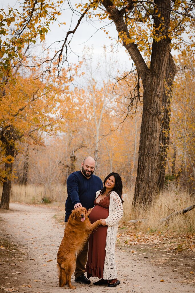 Couple with golden retriever during outdoor twin maternity photo shoot in Boise's fall foliage