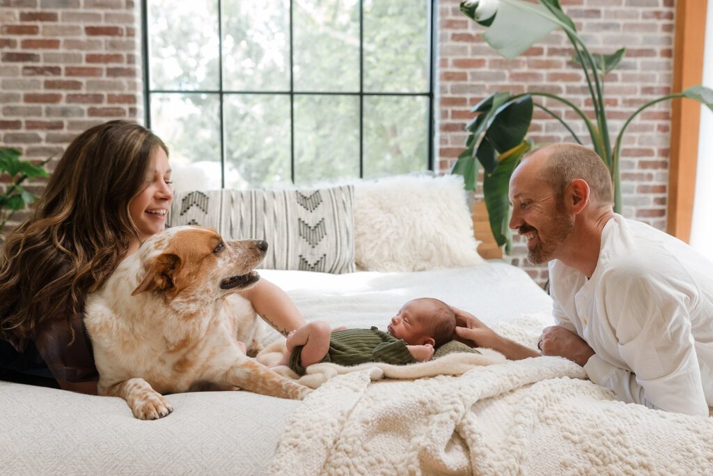 Professional newborn photography with dogs in Glean studio showing parents and baby lying casually on bed with their dog during intimate family photography session in Boise