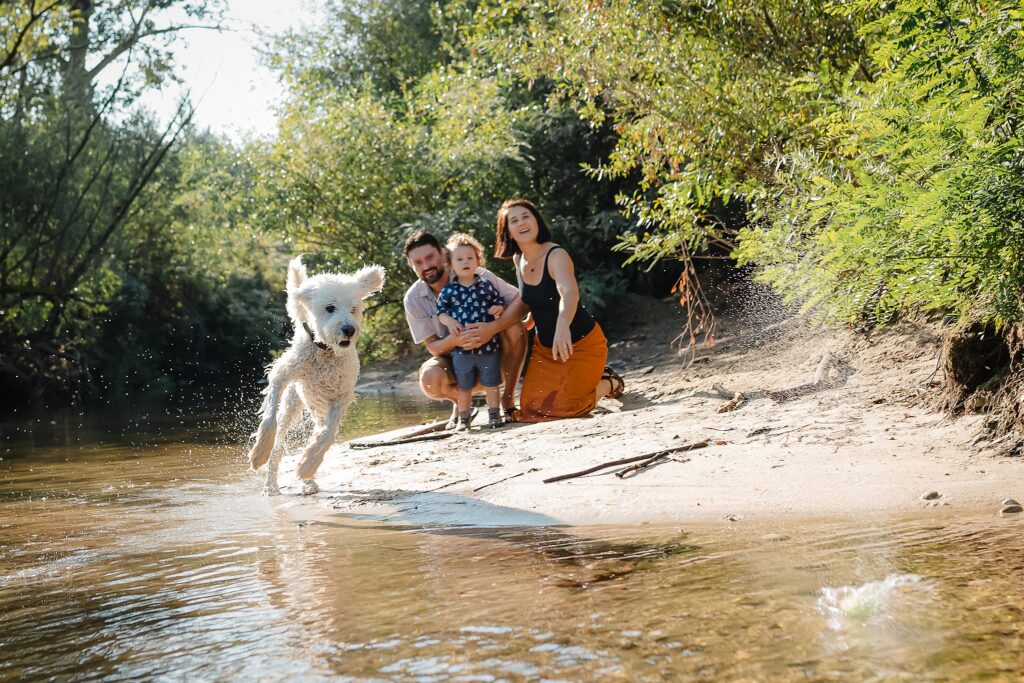 Professional family photography with dogs capturing white fluffy dog running through water while family with toddler watches from creek bank in Boise outdoor setting