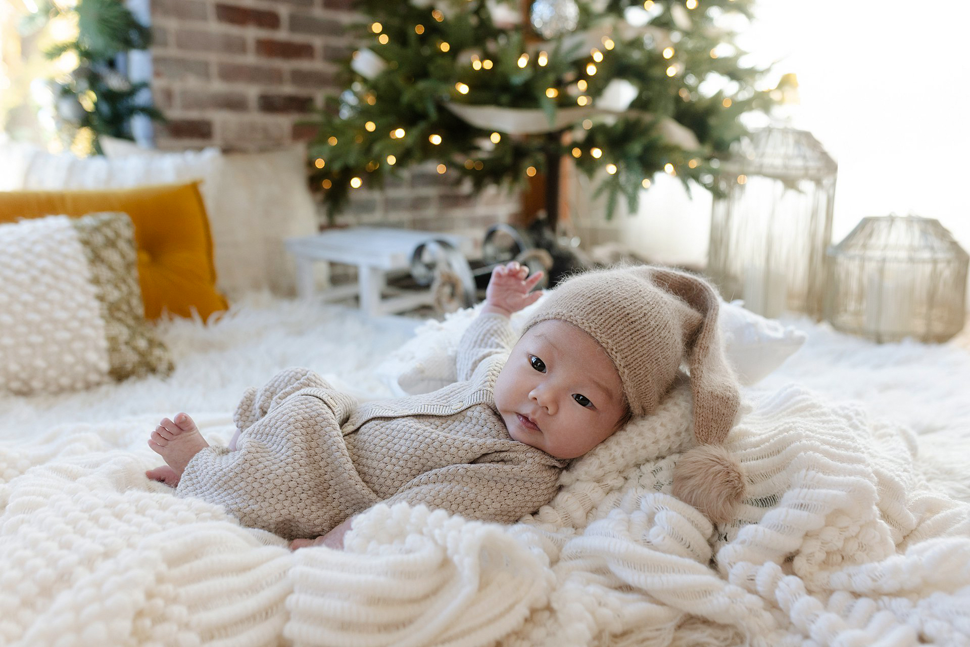 a newborn baby under a christmas tree in the Glean and Co Photography studio