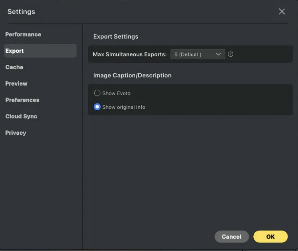 a screenshot with the Evoto export settings for ai editing for photographers who want to protect their metadata