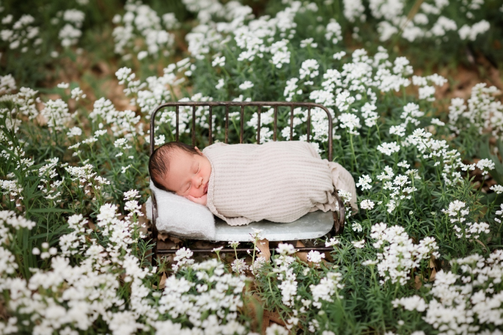 part 2 to an outdoor spring maternity and newborn photos combo session with Glean and Co photography, baby on a tiny bench surrounded in white wild flowers